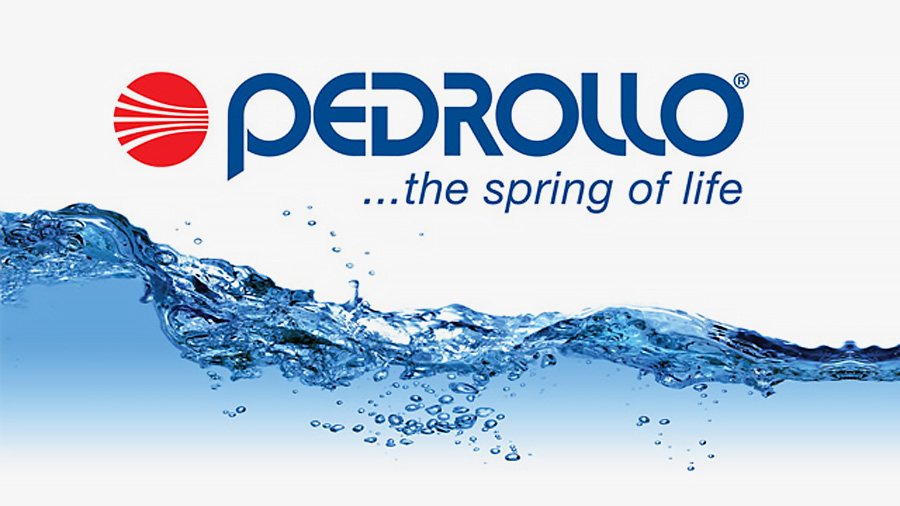 Ремонт и обслуживание скважинных насосов Pedrollo